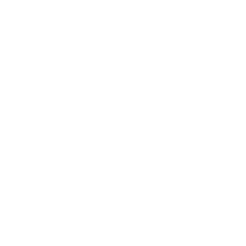 NeuroSure Logo white